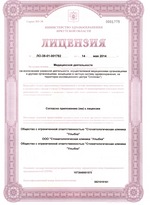 Лицензия